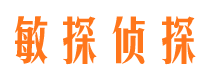 雷波敏探私家侦探公司